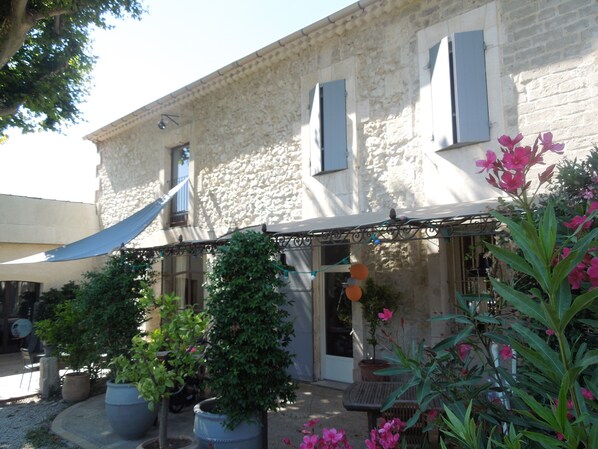 facade sud a l ombre du platane