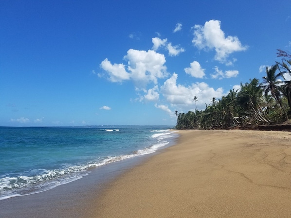 Sandy Beach is a short walk away.