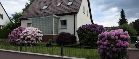 Exteriör