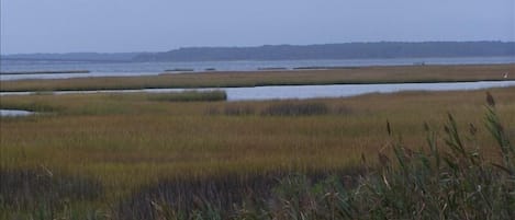 Bay view from front of building