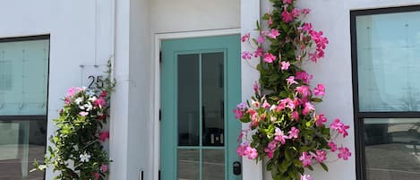 Detalle del exterior