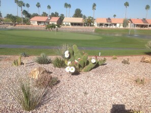 Welcome to the 9th green, enjoy great views from The Horizon Room Restaurant