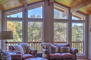 Soaring views of the treea