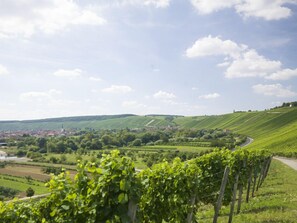 Weingut - Ferienwohnung Rudloff (Nordheim)-Blick von Volkach nach Escherndorf