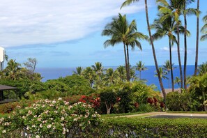 Nice ocean views throughout condo - from kitchen to living room. 