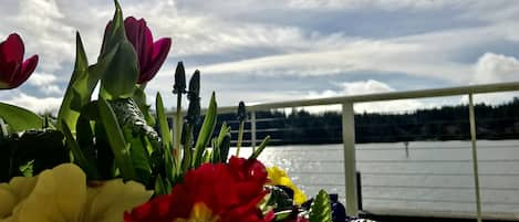 View from the deck overlooking the Siuslaw River. 