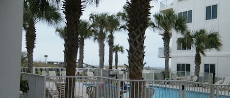 Looking from the patio to the pool.