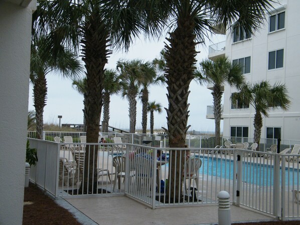 Looking from the patio to the pool.