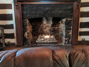 Gas fireplace