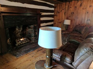 Living room  and gas logs