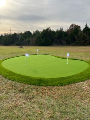 Newly installed back yard Putting Green