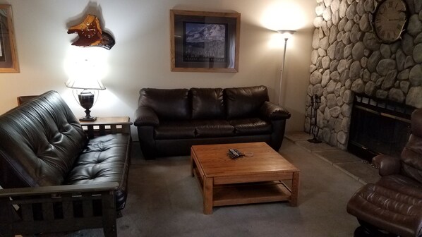 Living Room - Queen size sofa pullout bed