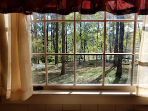 Bedroom view of lake and woods. The hammock awaits you!