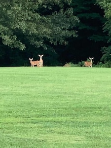 Family Fun In Paradise! Mill Creek Lodge