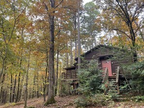 Fall at the tale of the trout 