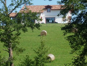 La maison vue de la forêt