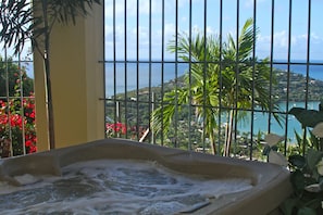Hot Tub/SPA- Your new happy place! Looking at Great Cruz Bay and Chocolate Hole