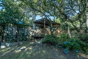 Shady landscaped side yard