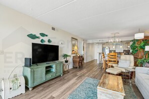 Living Area/TV