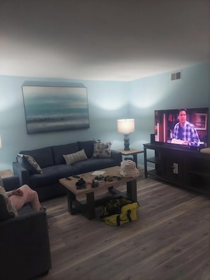 New Living room w/ Large TV