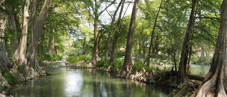 Guadalupe River Access