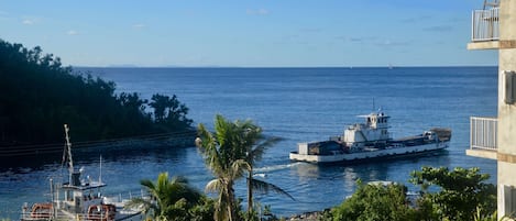 picture window view of Turner Bay.  The car ferry is quiet and fun to watch!