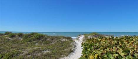 Indian Rocks Beach Entrance From The Complex - Walkway To Indian Rocks Beach from The Complex! Just A Quick Walk From The Condo.