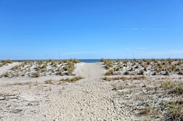 Strand