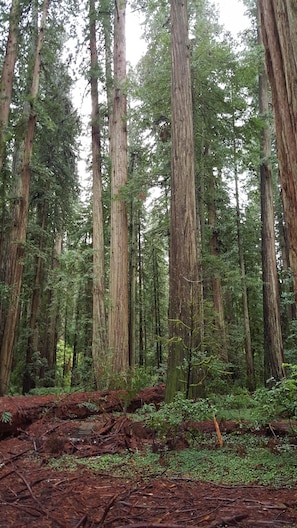 Stout Grove just minutes away.