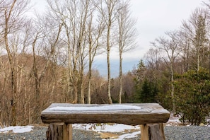 Log Reflecting Bench Situated to Show Off Mountain Views