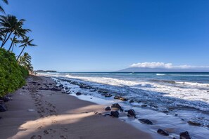 Oceanfront Unit