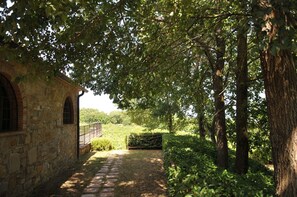 Pflanze, Fenster, Blatt, Baum, Natürliche Landschaft, Strassenbelag, Schatten, Sonnenlicht, Vegetation, Gras