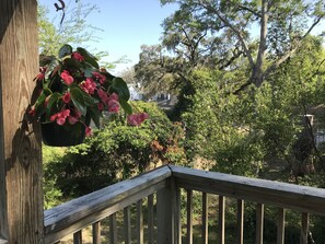view from the porch of the peaceful neighborhood