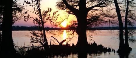 Beautiful Reelfoot Lake.  Picture taken from state Park.