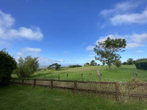View from the Garden