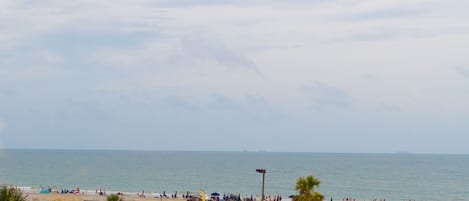 Vue sur la plage/l’océan