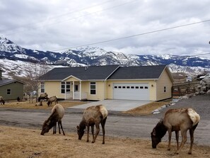 Visitors