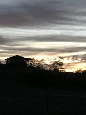 Oklassificerad bild, 2 av 26, knapp