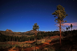 40 acres of beautiful mountain views!
