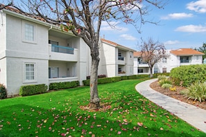 Greenbelt in front of the condo