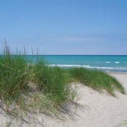 Sheridan Beach