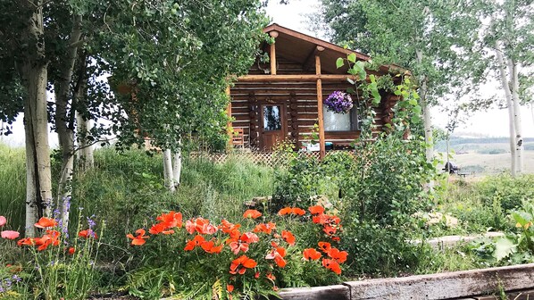 gorgeous, well-appointed cabin 