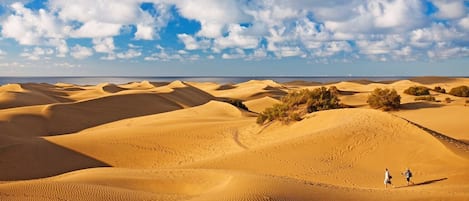 Playa y dunas Maspalomas
