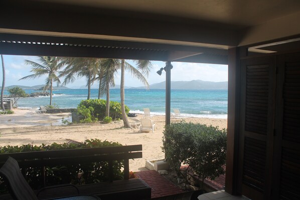 The view from the patio