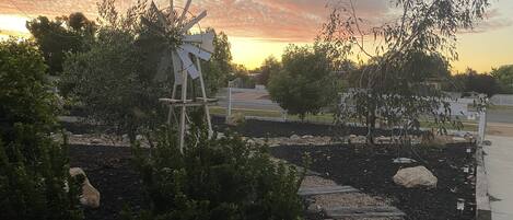 Sunset in the front yard