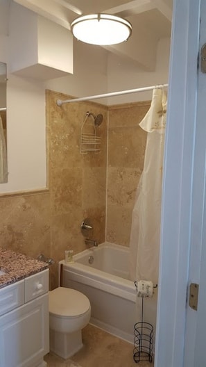 JACUZZI BATH WITH VAULTED CEILINGS AND TRAVERTINE STONE WALLS