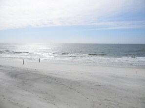 Gulf of Mexico beach