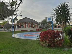 Basketball court