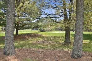 Exterior,Back Yard,