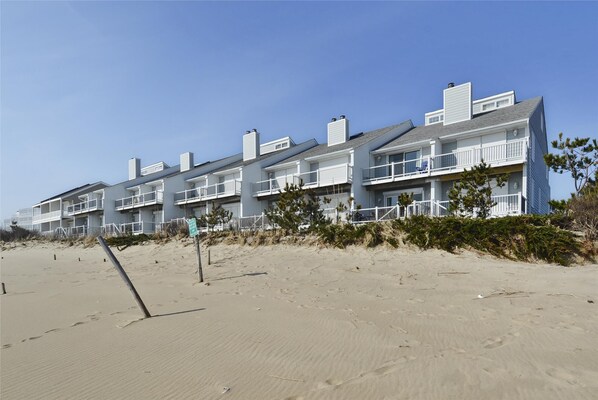 ,Back Elevation,